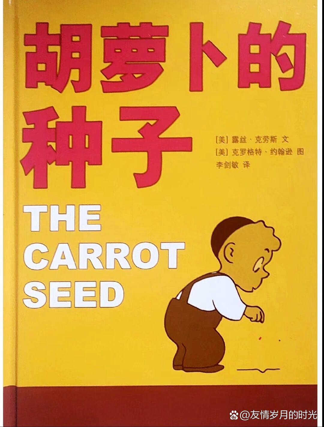 胡萝卜的种子
