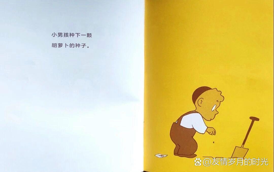 胡萝卜的种子