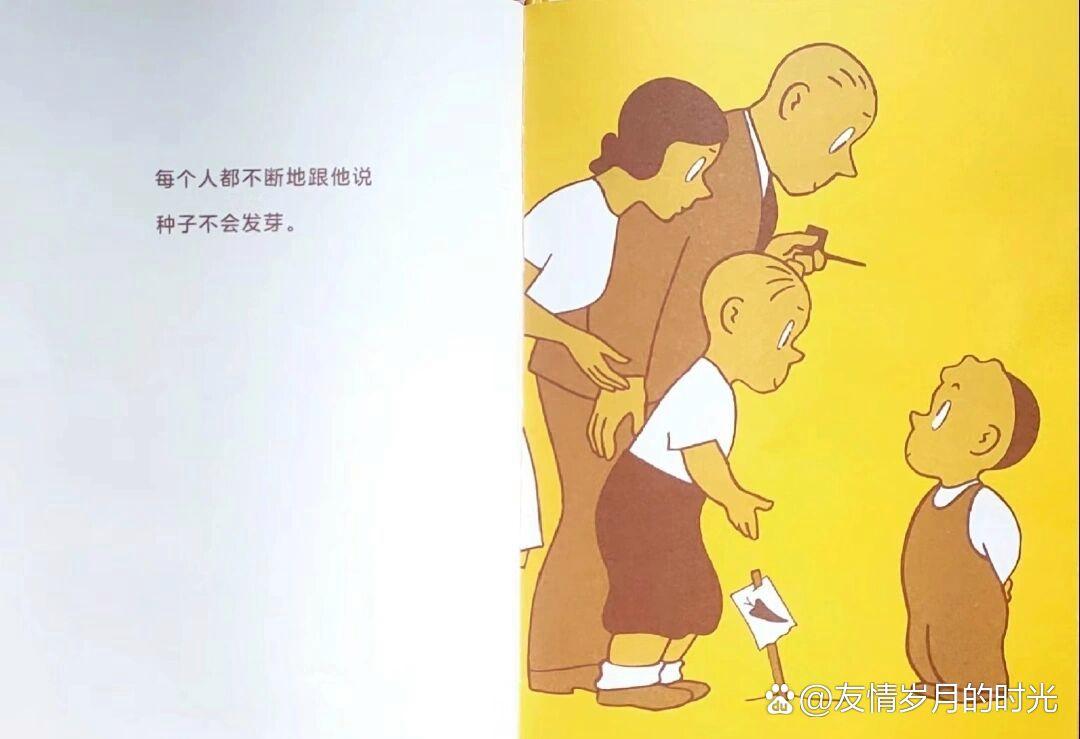 胡萝卜的种子